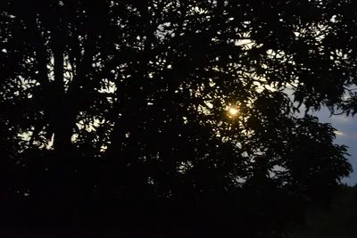 DSC_5400 (Large).JPG